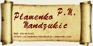 Plamenko Mandžukić vizit kartica